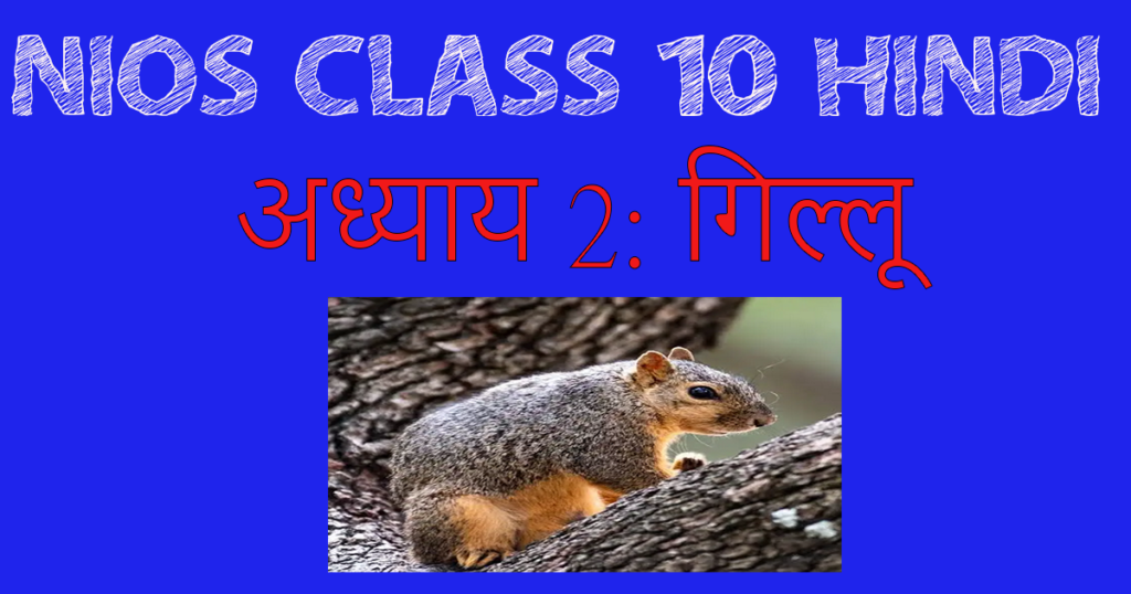 NIOS Class 10 Hindi Chapter 3-Gillu
