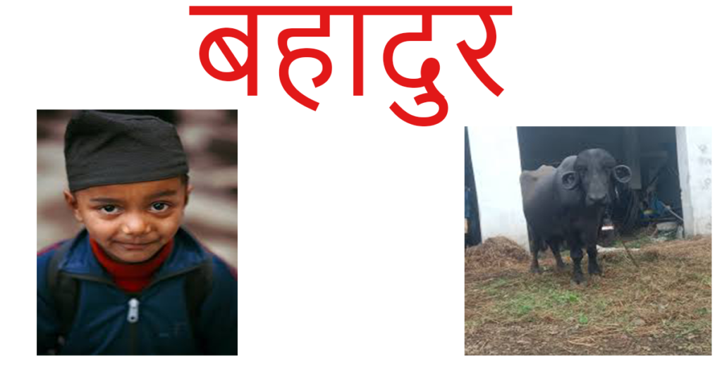 NIOS Class 10th HINDI BAHADUR