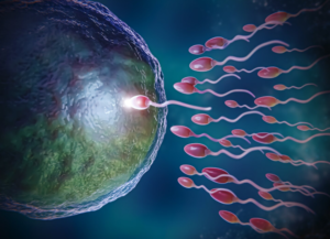 Nios Class 12th Biology Chapter 1st